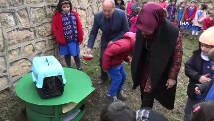 Sokakta yaşayan kedilere sıcak yuva