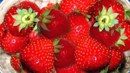 Charlie and Lola  S1E05 There Is Only One Sun and That Is Me