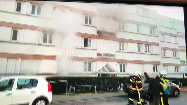 Feu de cave : pas de blessés et un chat sauvé !