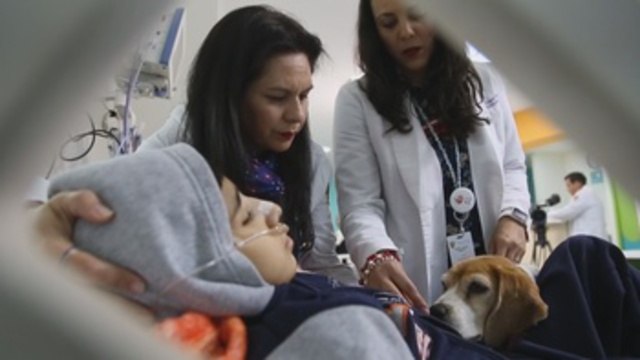 Perros y juegos ayudan a niños enfermos terminales a liberar su dolor