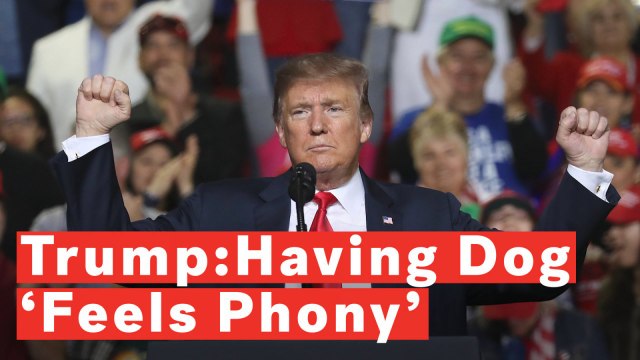 Trump At Texas Rally: 'Feels Phony' To Get A Dog At The White House