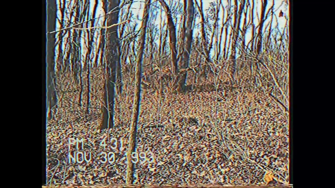 On the Trail of Bigfoot - Trailer #2: The Legend (Bigfoot Paranormal Monster Movie)