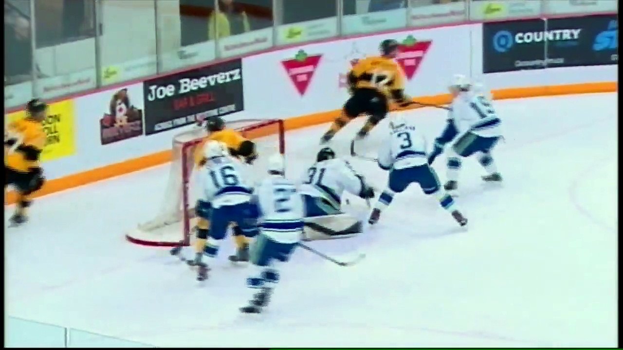 WHL Saves of the Week – Week 20, 2019