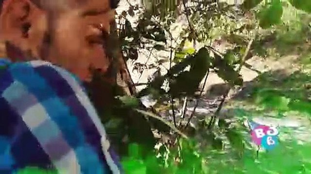 dbb-paseo-pozas-120219