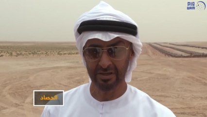 إسرائيل والإمارات.. ود وانفتاح منذ سنوات والذريعة إيران