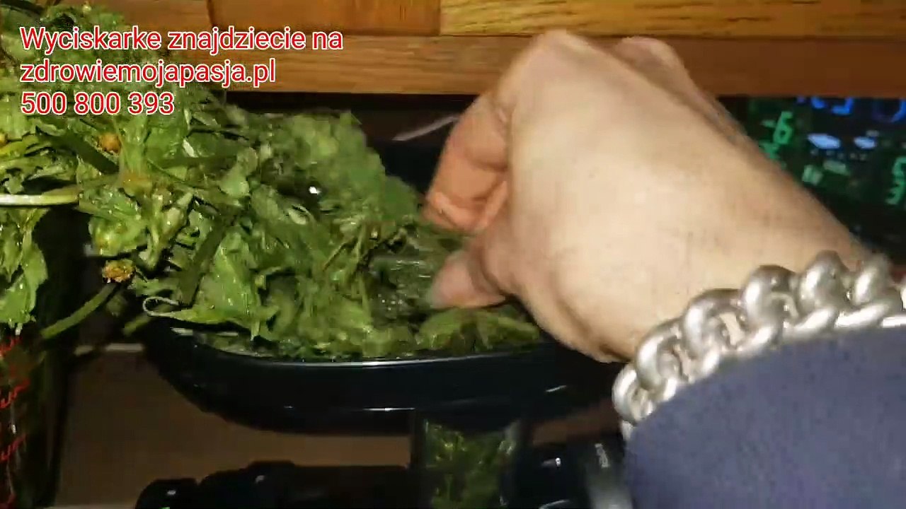 Zielony Sok z dzikich ziol w srodku zimy___