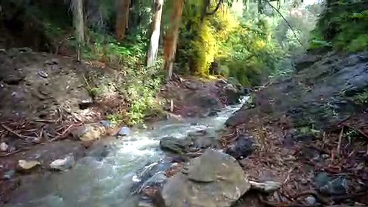 Cascada de Picapedreros (Montes de Málaga)