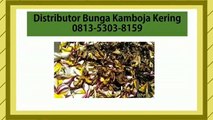 KUALITAS TERJAMIN!!! 0813-5303-8159, Distributor Bunga Kamboja Kering Semarang