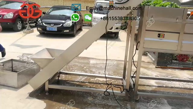 Fully Automatic French Fries Production Line Price丨French Fries Processing Plant