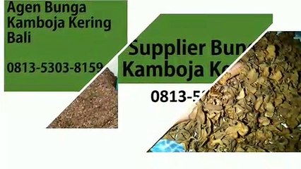 TERMURAH!!! 0813-5303-8159, Supplier Bunga Kamboja Kering Yogyakarta