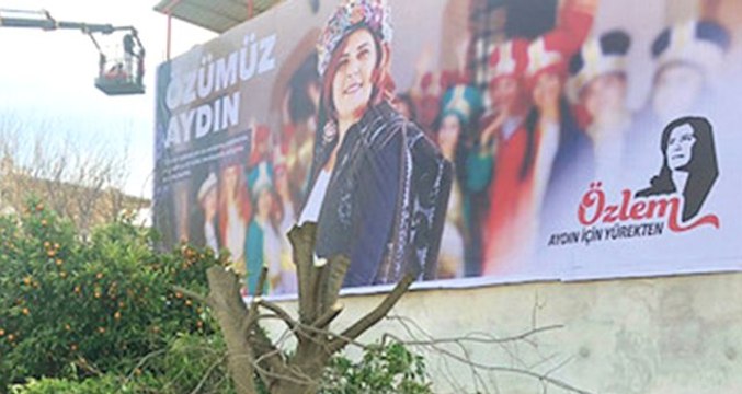 CHP Aydın Büyükşehir Belediye Başkanı Özlem Çerçioğlu, Afişi Görünsün Diye Ağacı Kestirdi
