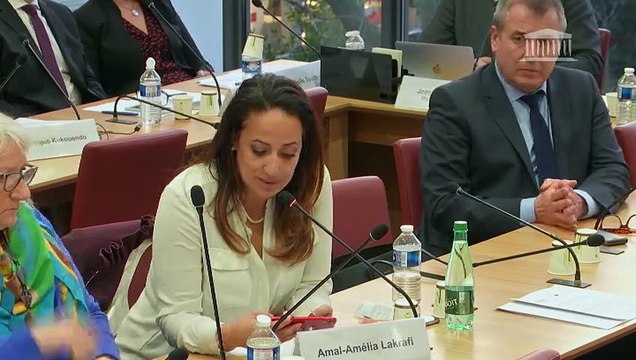 Commission des Affaires étrangères : Mme Nathalie Loiseau, ministre chargée des Affaires européennes - Mardi 12 février 2019