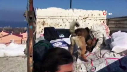 Yardım kömürleri içerisinde uyuşturucu bulundu