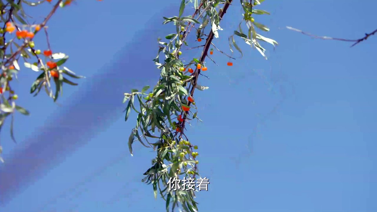 小女花不棄 35 | I Will Never Let You Go 35（林依晨、張彬彬、林...