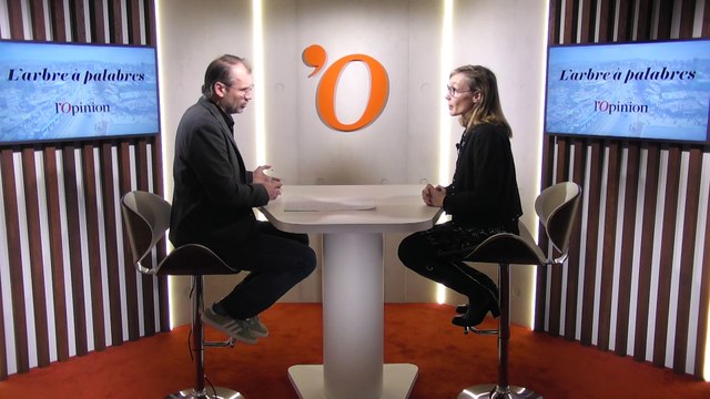 Pour la députée LREM Marion Lenne, la société civile africaine «doit participer au débat démocratique»