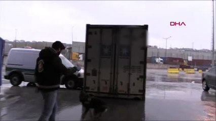 İstanbul- Konteynerden Muz Yerine Kokain Çıktı