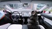 VÍDEO: Así funciona el 'modo perro' del Tesla Model 3