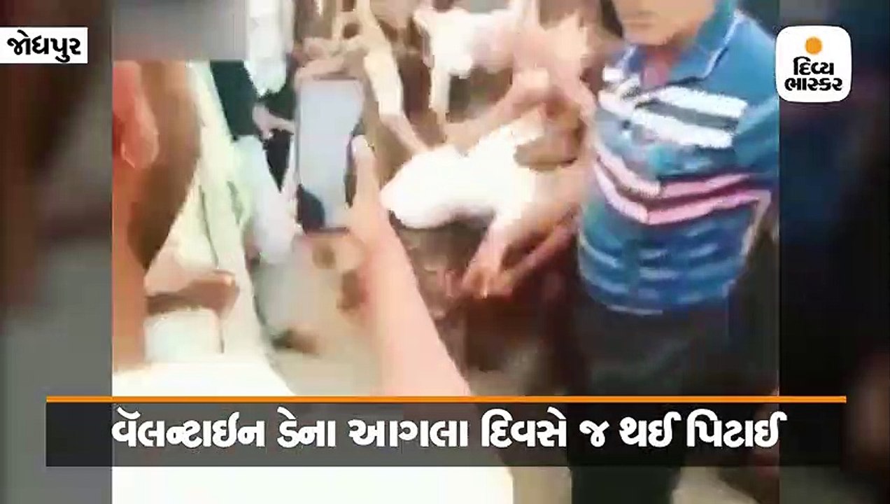 Divya bhaskar videos