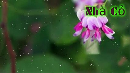 Audio Đam mỹ [Chương 9-12] Nhiếp Chính Vương.