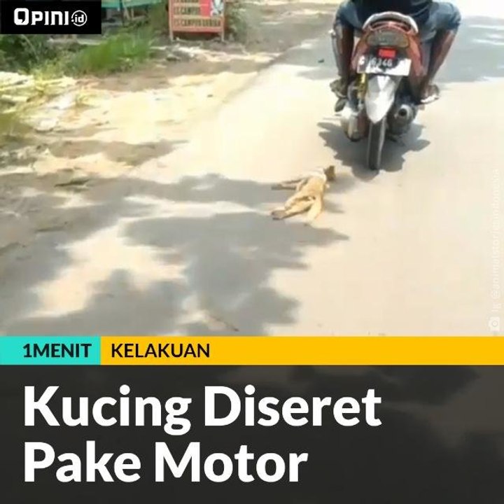 Kucing Diseret Pake Motor