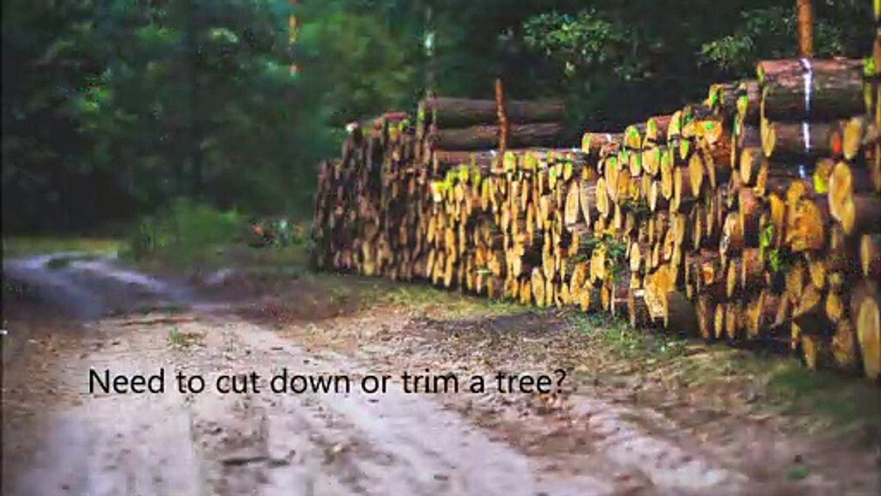 tree services Fresno California