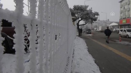 Doğu Anadolu'da Dondurucu Soğuk