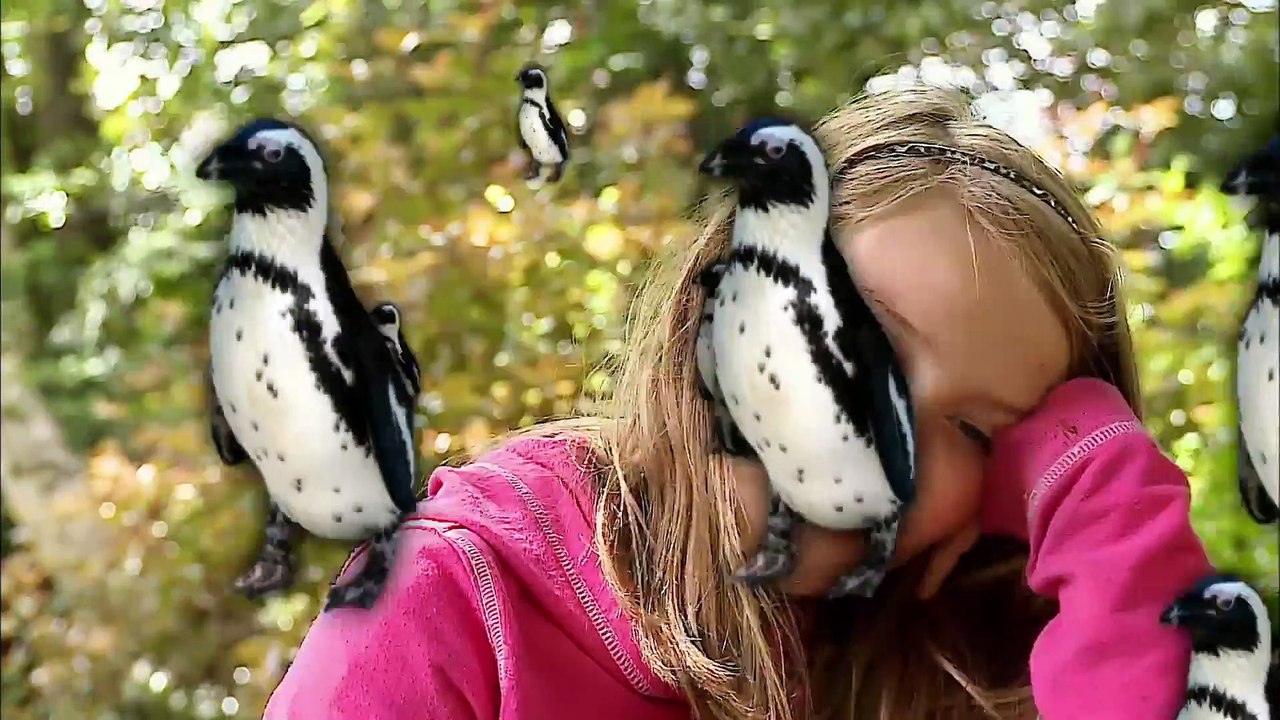 Dick And Dom Go Wild   S2E11