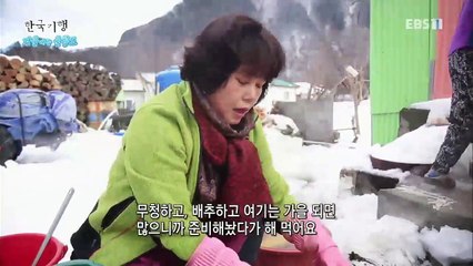 한국기행 - Korea travel_겨울에는 울릉도 3부 어디까지 가봤니, 울릉도_#002