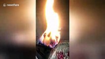 Bizarre video shows burning log that looks just like a dog