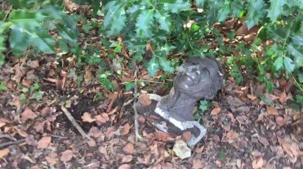 Parc Duden, Forest - Le buste de Mandela, posé à la place de Léopold II a été vandalisé (vidéo Germani)