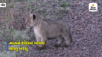 Divya bhaskar videos