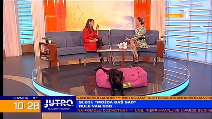 EKSTRA NENA SE SPREMA ZA BEOVIZIJU: