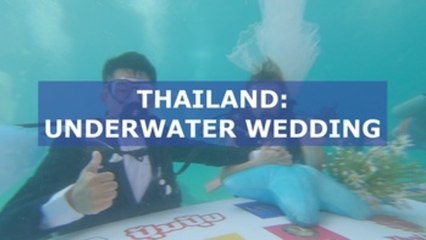 Couples pledge love in underwater wedding ceremony in Thailand