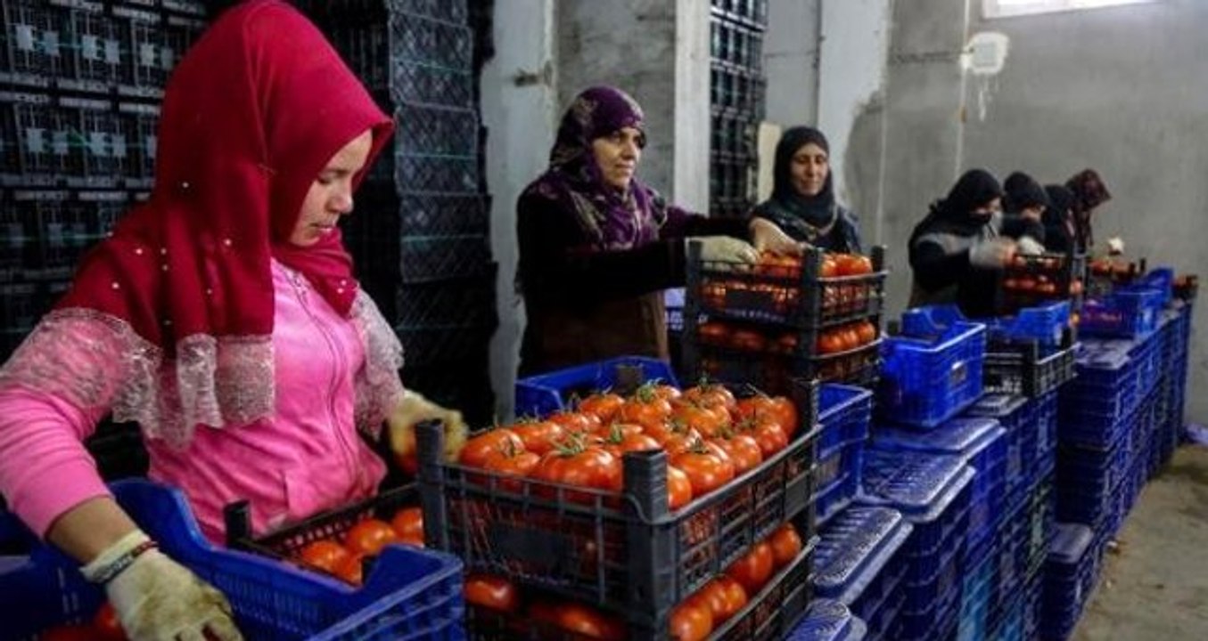 İstanbul ve Ankara'da Kurulan Tanzim Satış Noktaları, Üreticileri de Sevindirdi