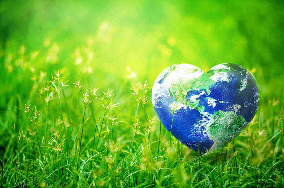Simple steps to becoming an eco-citizen