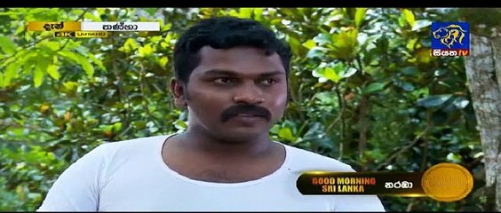 Thanha Sinhala Teledrama - Episode 31 - 13th February 2019