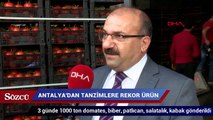 Tanzimlere Antalya’dan 1000 ton meyve-sebze gönderildi