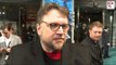 Guillermo Del Toro Interview - Monsters, Hellboy 3 & Crimson Peak -  Pacific Rim European Premiere