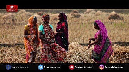 2000 ரூபாய் உதவித்தொகை வழங்க எதிர்ப்பு தெரிவித்து ஐகோர்ட்டில் வழக்கு