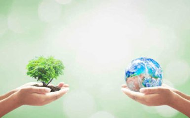 The world's foremost environmental protection NGOs