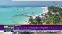 México iniciará proceso de licitaciones para obras del Tren Maya