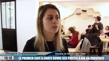 Le premier café à chats ouvre ses portes à Aix-en-Provence