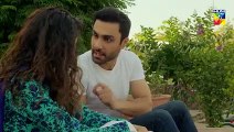 Tajdeed e Wafa Epi 22 HUM TV Drama 13 February 2019