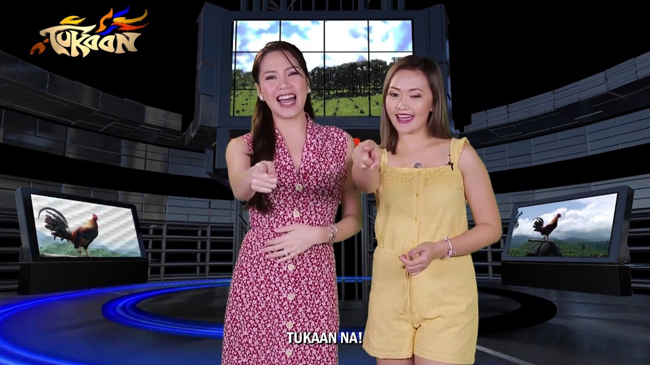 Tukaan – February 10, 2019