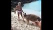 Cette top model Instagram se fait mordre aux fesses par un cochon aux Bahamas