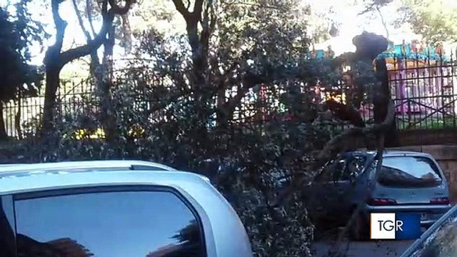 Forte vento in Puglia: alberi cadono sulle auto, disagi per le scuole