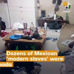 Mexican ‘modern Slaves’ Freed In Canada