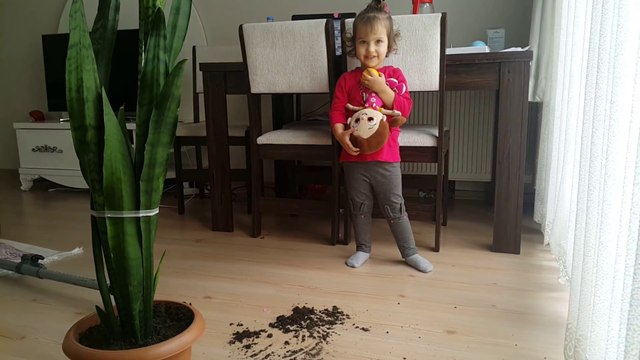 Oyuncak Değil Gerçek Elektrikli Süpürge İle Evi Süpürdük Eğlenceli Çocuk Videosu