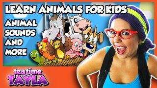 Learn Animals for Kids - Animal Sounds and More