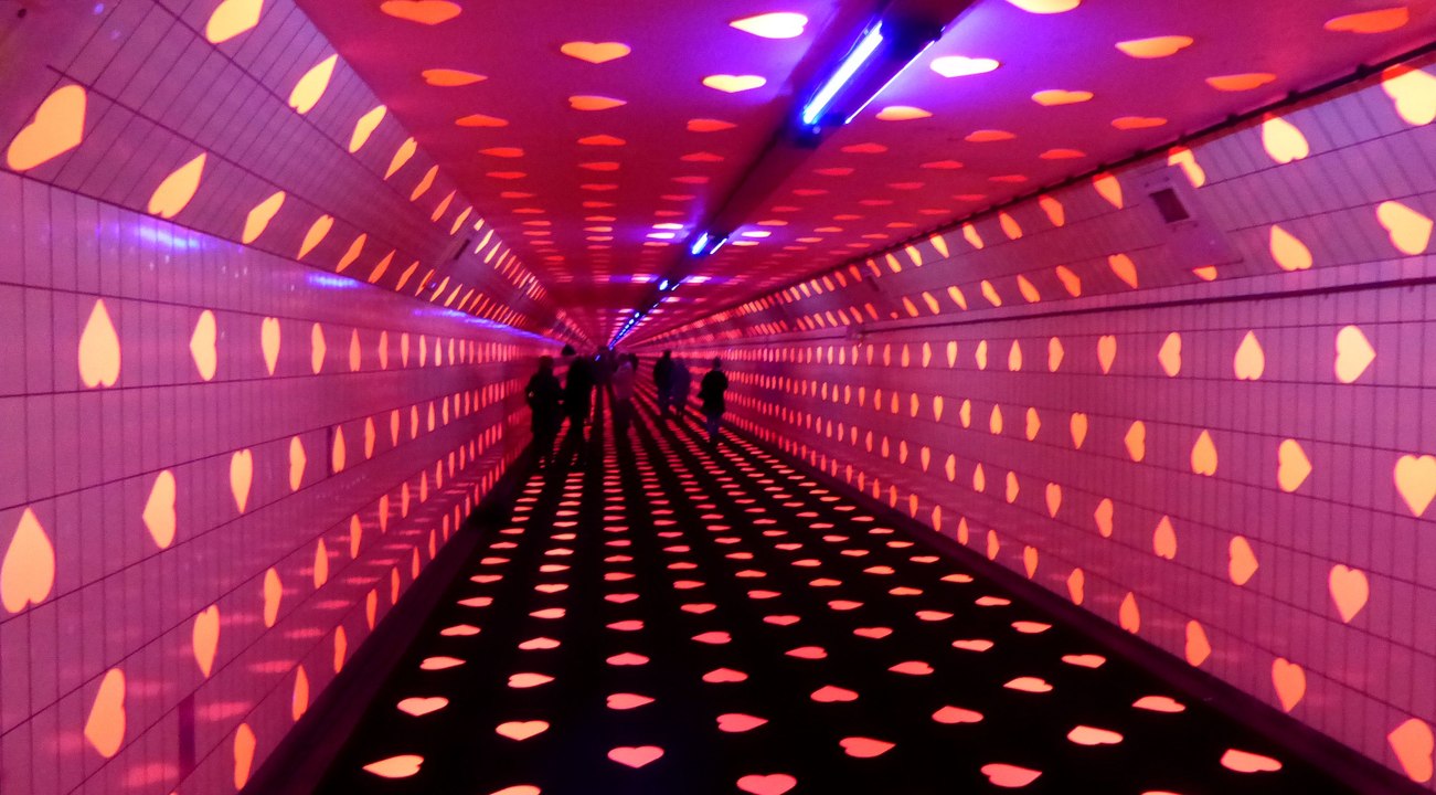 'Tunnel of love' trekt duizenden kijkers / Rotterdam Zuid 2019